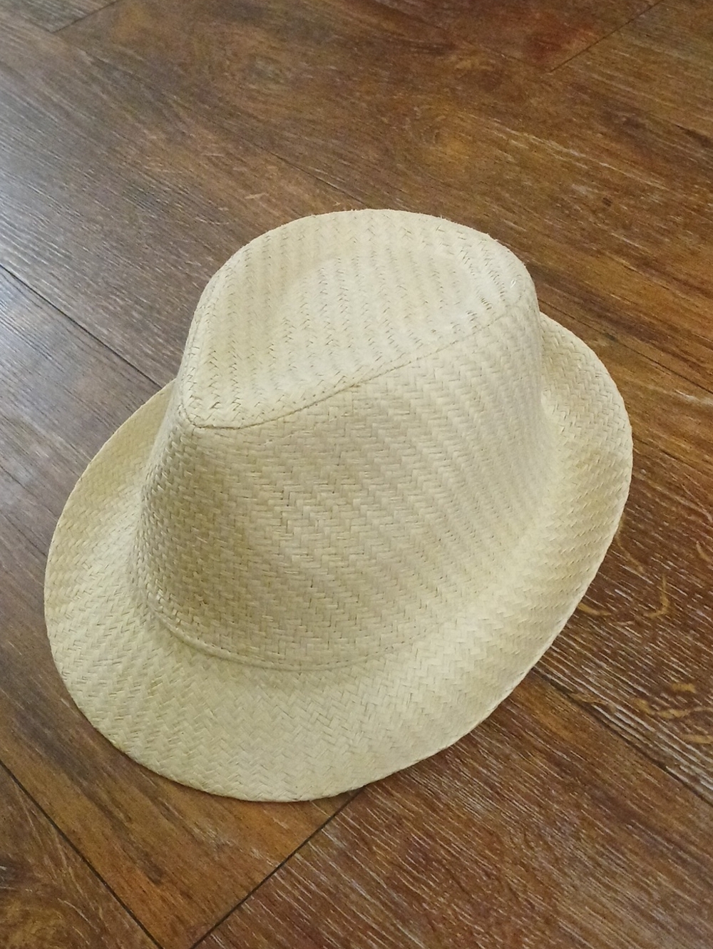 Woven Fedora Hat in Beige